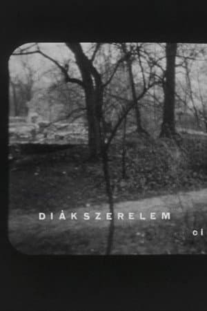 Diákszerelem