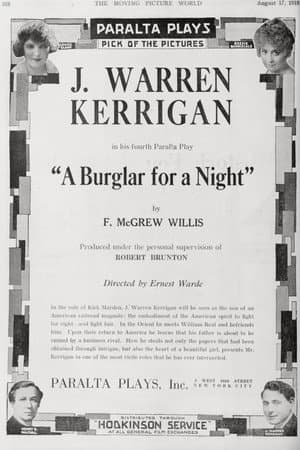 A Burglar for a Night