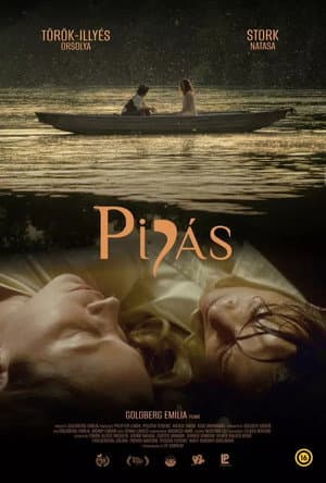 Pipás