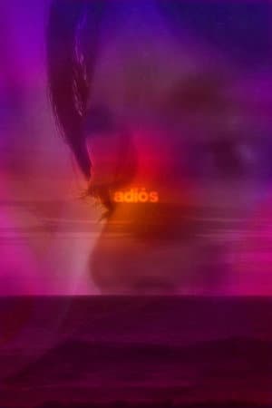 adiós
