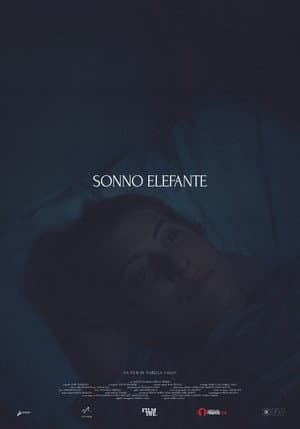 Sonno Elefante
