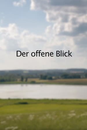 Der offene Blick