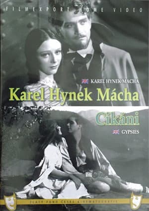 Cikáni