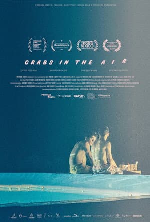 Crabs in the Air