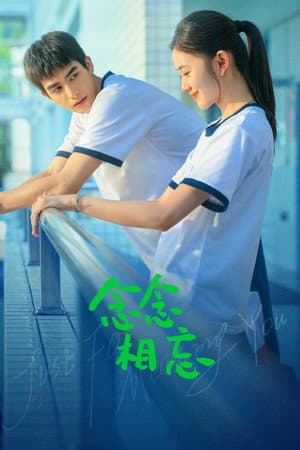 念念相忘