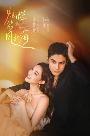 灿烂的风和海