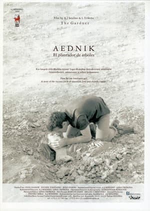 Aednik