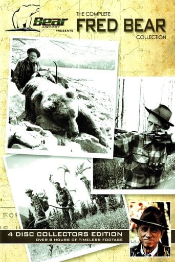 Bear Video Theater