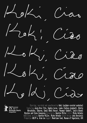Кокі, чао!