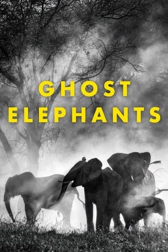 Ghost Elephants