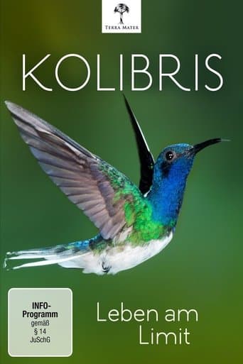 Kolibris - Leben am Limit