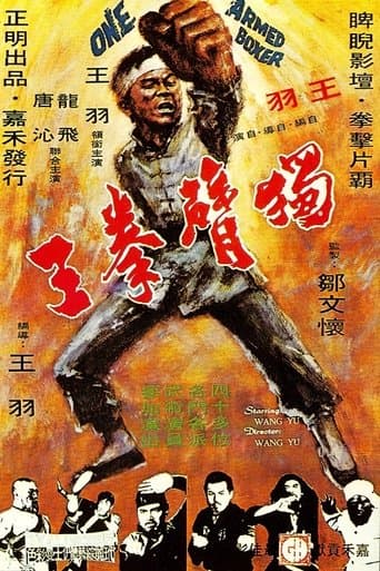 獨臂拳王