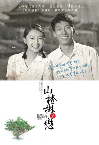 山楂树之恋