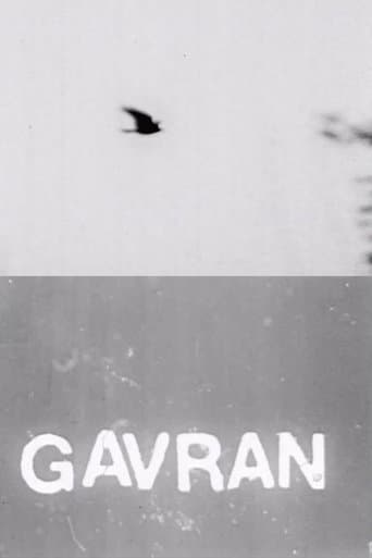 The Raven