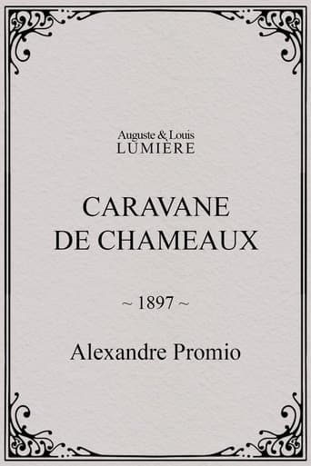 Caravane de chameaux