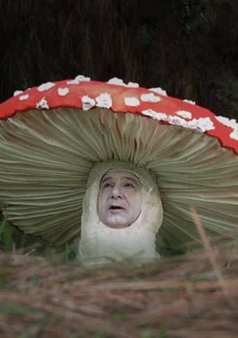 Fly Amanita