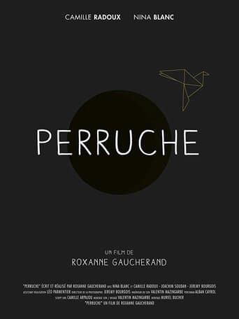 Perruche