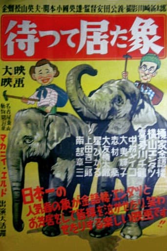 待って居た象