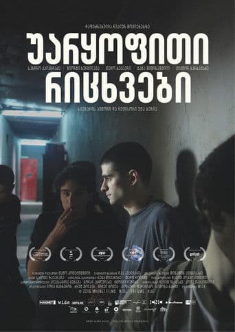 უარყოფითი რიცხვები