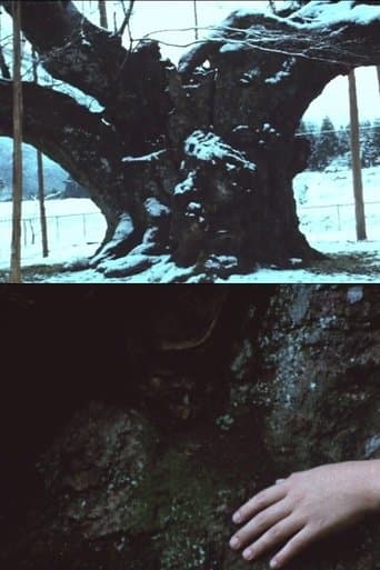 薄墨の桜
