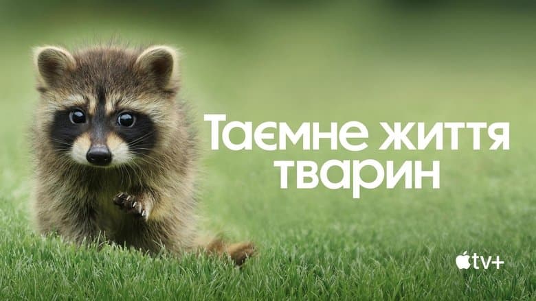 /16B5lZq4htKxzq4HkL9iLLdetc9.jpg