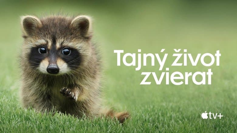 /1ROCIc4fwmK3i70RKLqVfmhcbZE.jpg