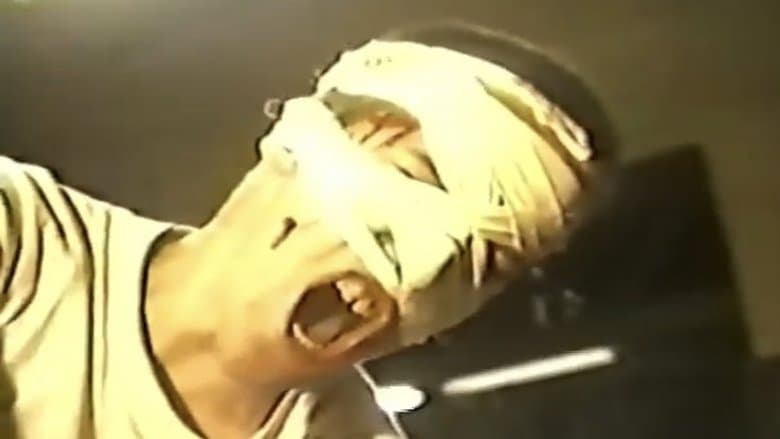 /1h9ws0M0StRgY71PpB9mF3CzXfr.jpg