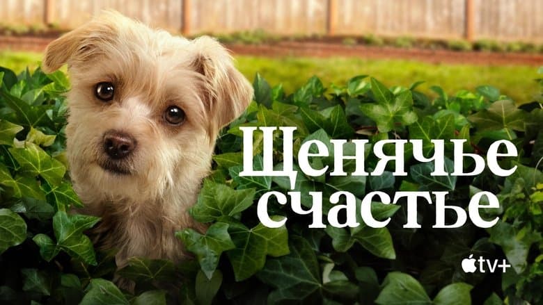 /1iVei9Fi46BtRDGAxpoSLCLZlNH.jpg
