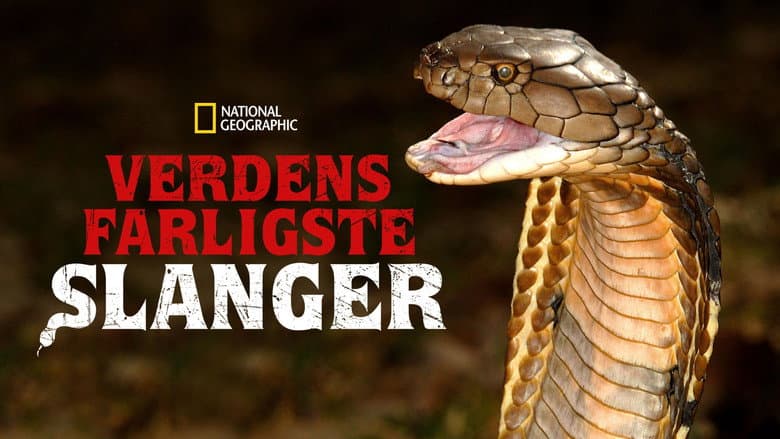 /1je4xmEEeEHsQCrMQ1bGroAGBc1.jpg
