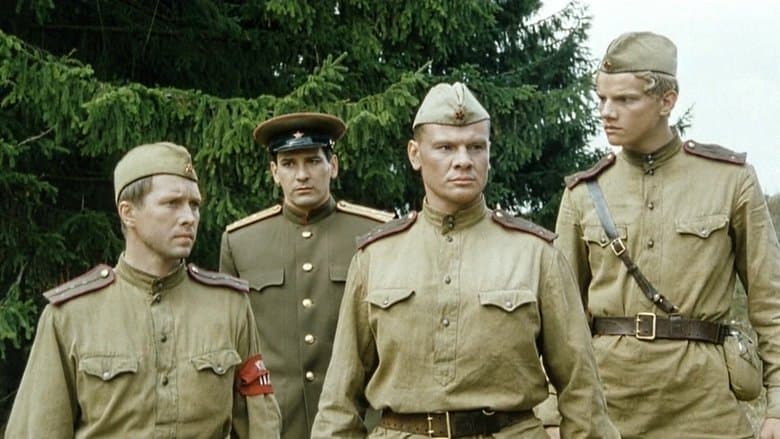 /1zxGCAIVFLnoJnIOv26qB4We6La.jpg