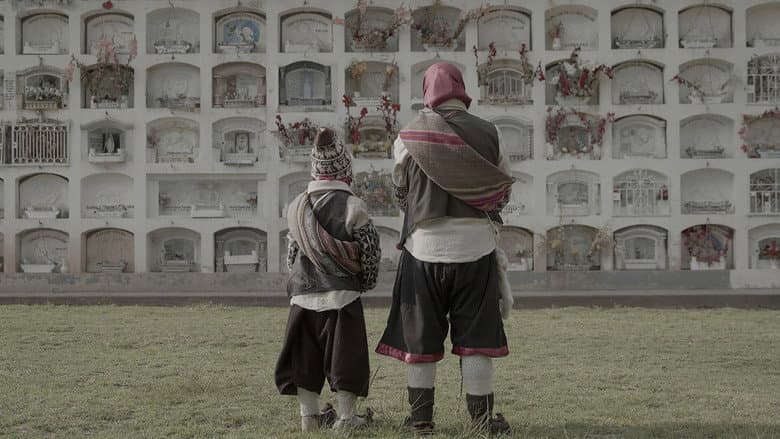 /2B8nUYiSKofCnwgXD23jaqeV91F.jpg