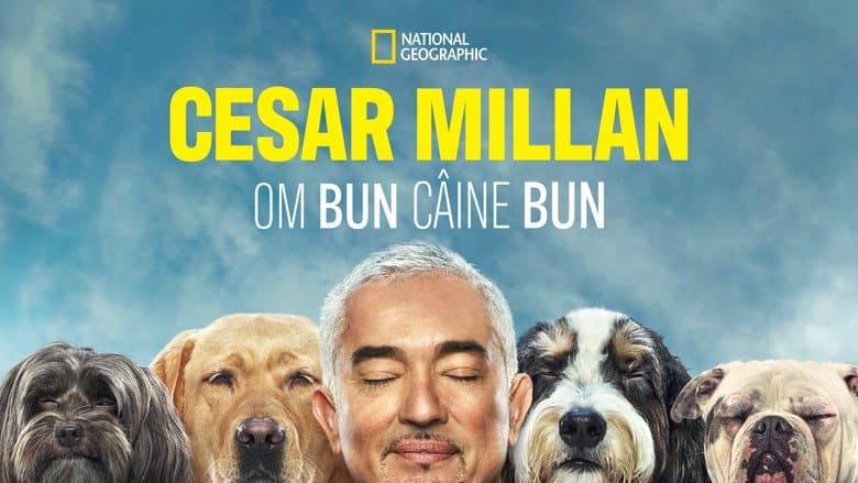 /2DPulaNdzbQtaywRJJl7MeOIIsk.jpg