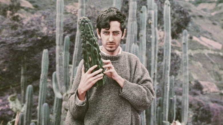 /2MAb52VODwYRIjUobgbuVMJbSYK.jpg