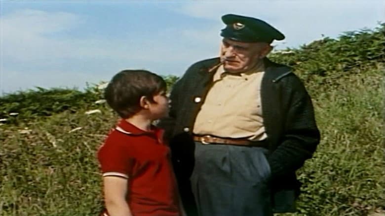 /2Nq4GBWwW87C2VKG3XjMVqMwseR.jpg