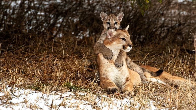 /2U76cXe6SDh4bhSmPjBrGE42AV8.jpg