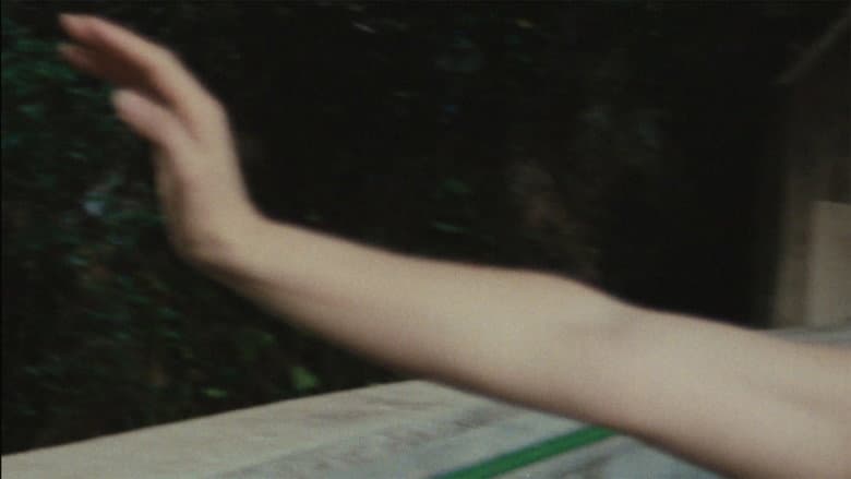 /35cPxFLySg1obYMfFltDKZwOff.jpg