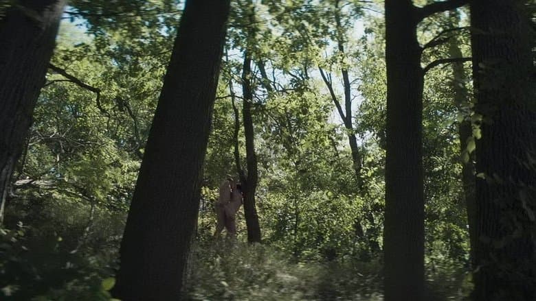 /3AFILDvW8X4zG8q3xSP0NR7Jt9G.jpg