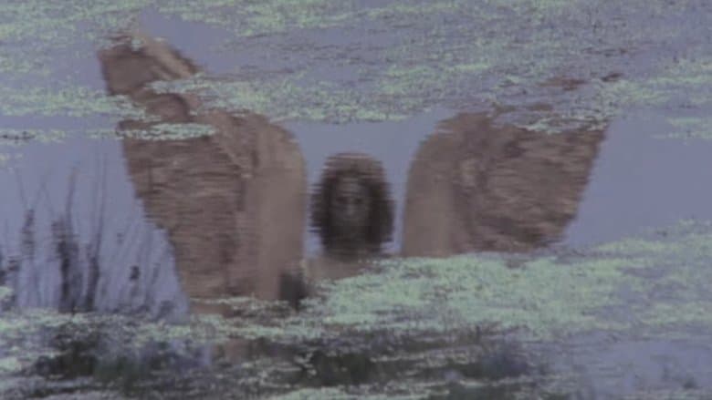 /3CxlKDQwxKMhyhdL0DXxDm2Z9mC.jpg
