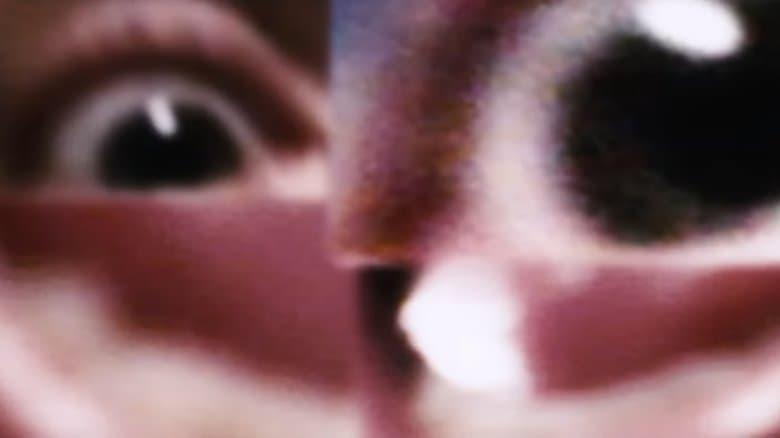 /3U1sxJ36K3dDtitBFVwwkF7k2D.jpg