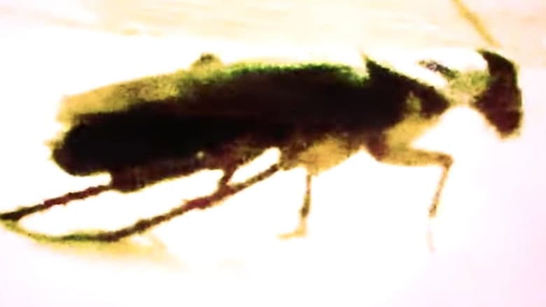 /3dL9HNwvKPUgA209ABx9GGAEcbH.jpg