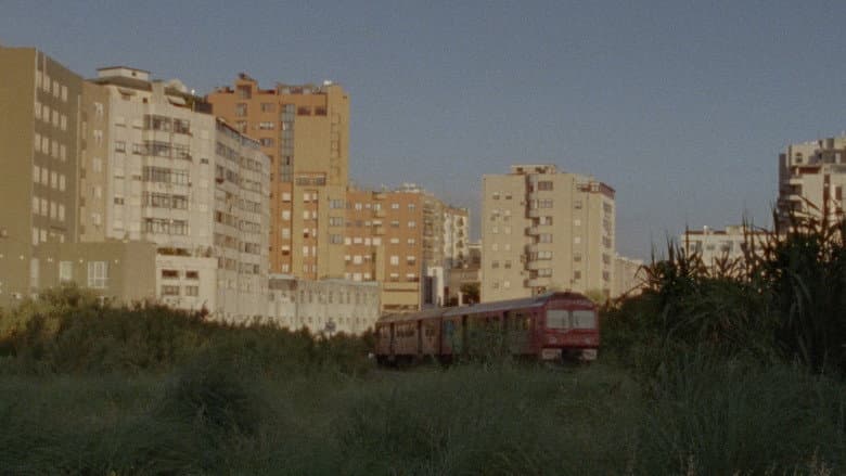 /3kw3x0mmm6zBLwAKJMMubrdB2cK.jpg