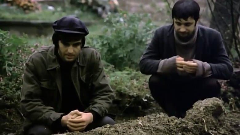 /3tazhIEgMpGkrzM4QDvsUz43ukQ.jpg