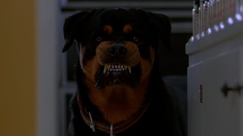 /3wLvsrlbaCFtgOtgggeYwKjrgbL.jpg