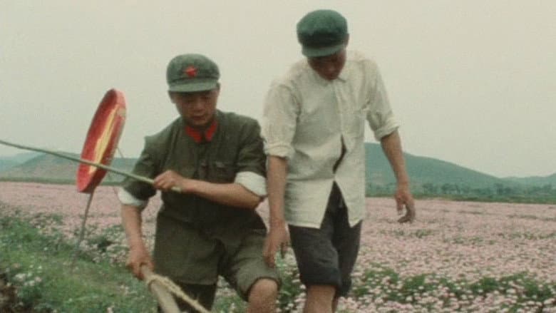 /40t73slUIHDcGmvokZngCaZMHR7.jpg