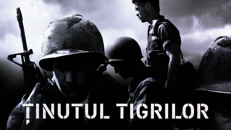 /42zhBetumV341Td8GBoJaHXH7oU.jpg