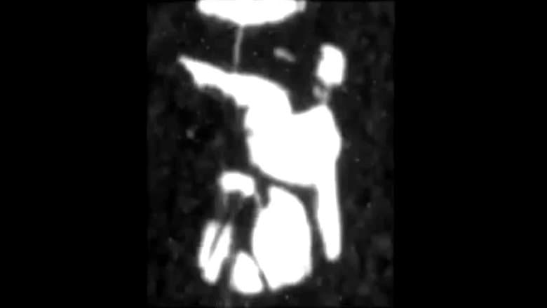 /4JbSMmn2isd82fd0jmt0v27TLdP.jpg