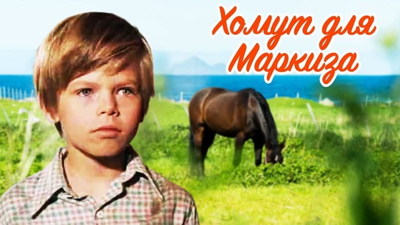 /4kQQag2VO5UV82MFFcV1DgXcFlZ.jpg