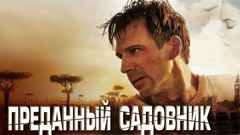 /5FWraP4gVoTlhCeni4Jk5zSqvNn.jpg