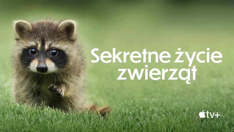 /5ocTgAMZD9kBBks0z7E96df9LPh.jpg