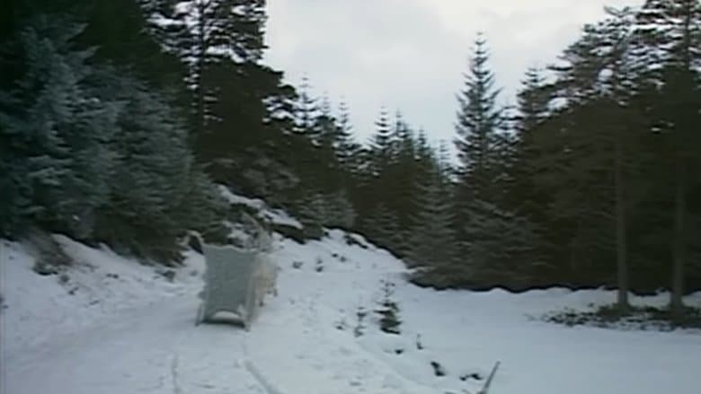 /5qJUbGjOOxt0ECzlFZHKT63aImX.jpg